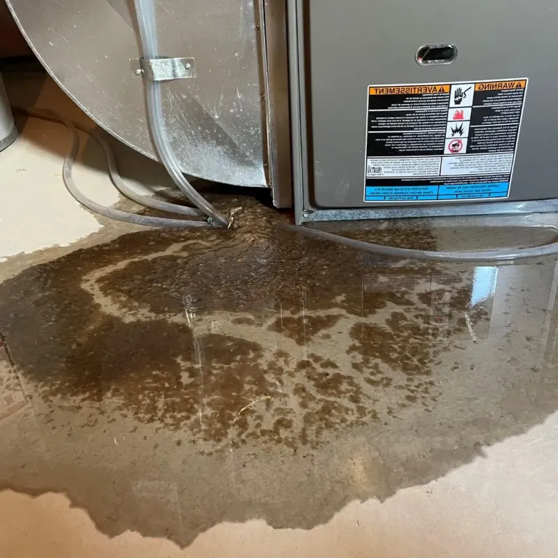 Pipe Burst and Leak Restoration in Harrodsburg, KY