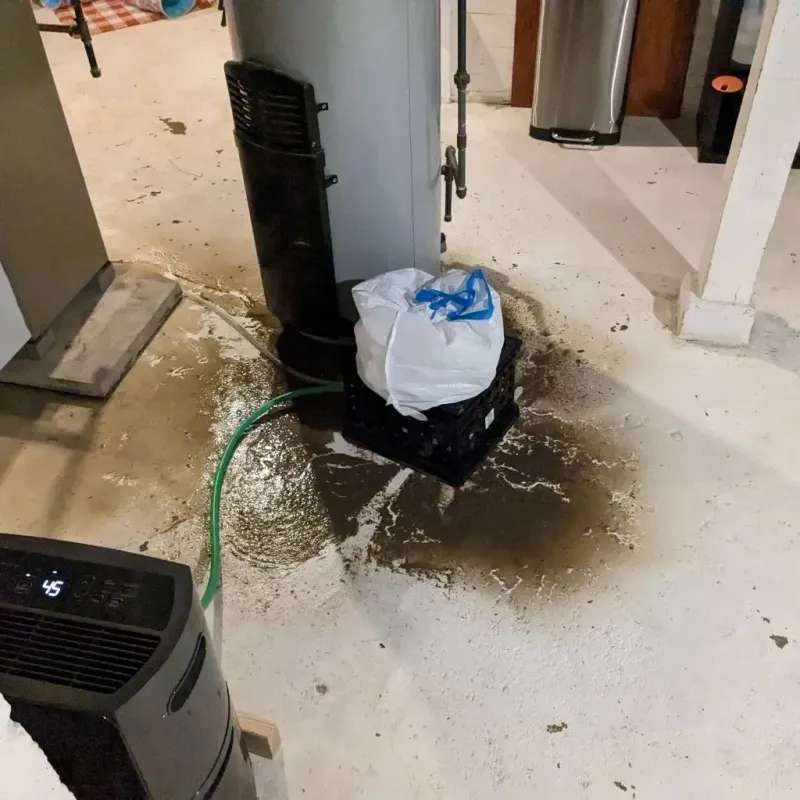 Sewage Backup Cleanup Service in Harrodsburg, KY